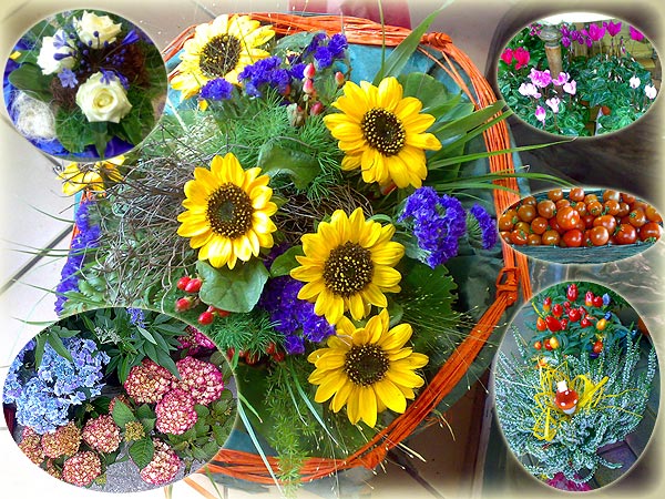 Der Herbst ist da!